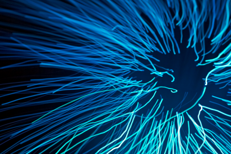 wige_schaubild_82-fg